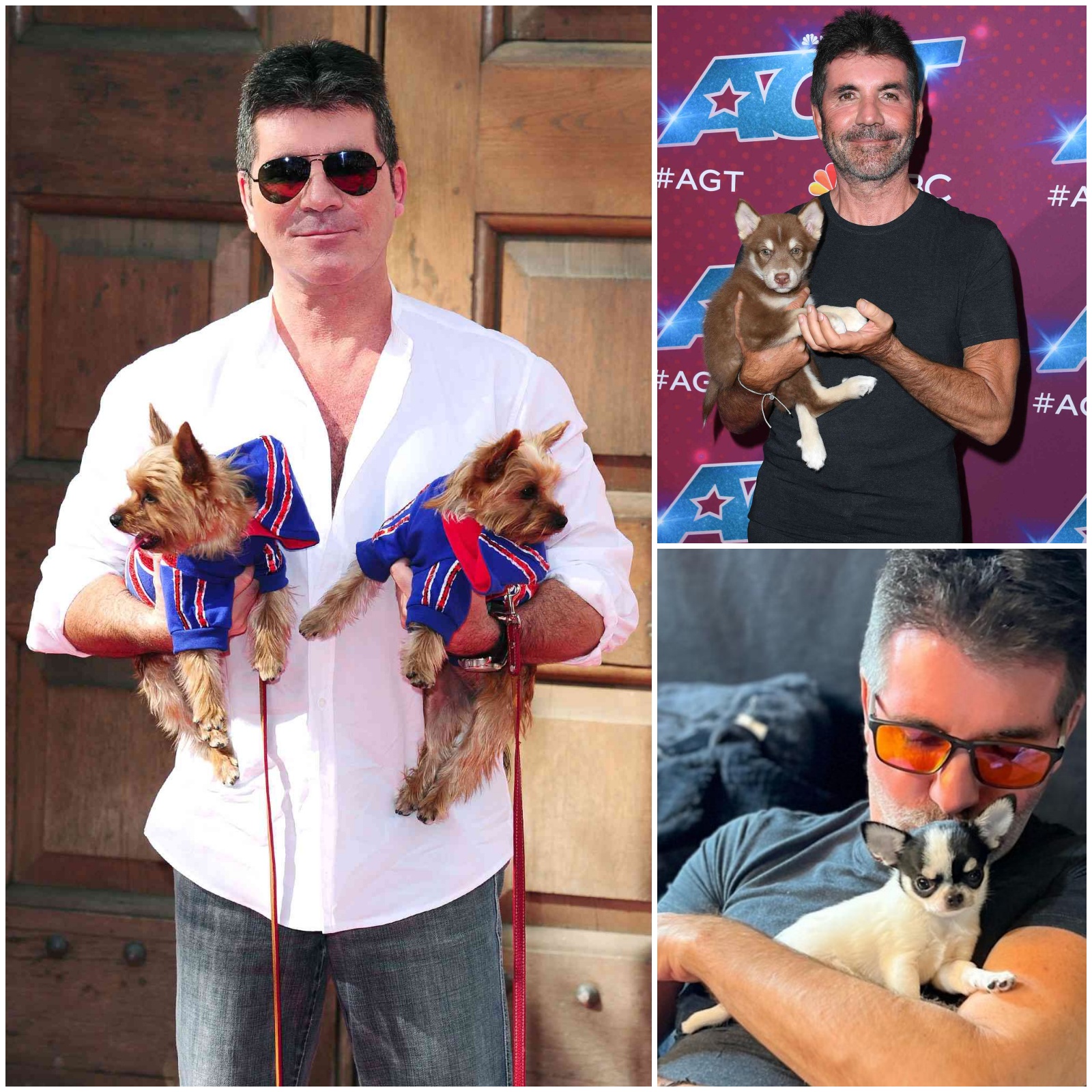 Cover Image for BREAKING NEWS: Simon Cowell sets the internet ablaze with a heartwarming announcement, revealing plans to invest $10 million into creating a “paradise” for stray dogs and cats. He vows to rescue thousands of abandoned animals and give them the love, care, and forever homes they truly deserve!