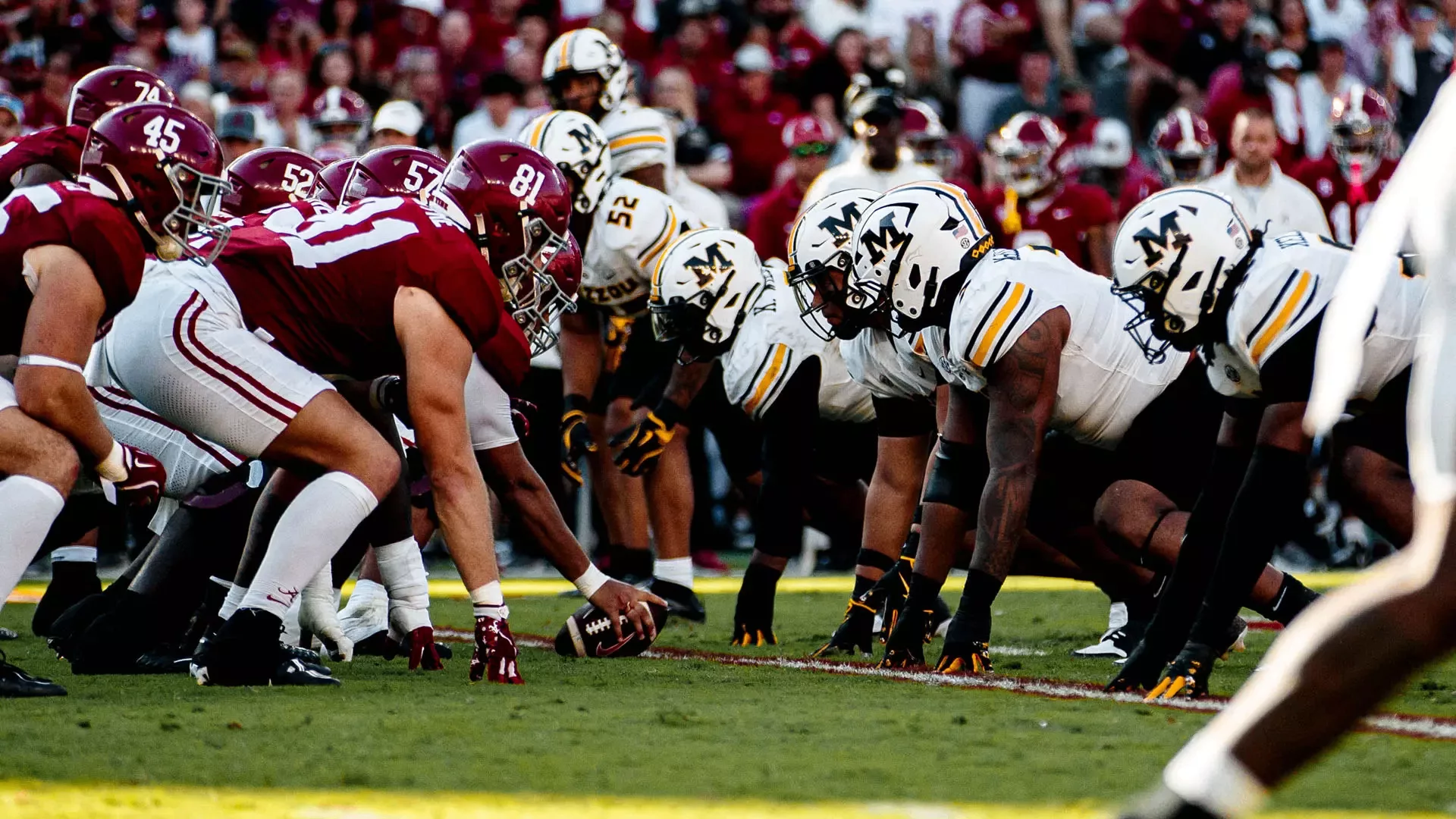 Fans reacting on phones