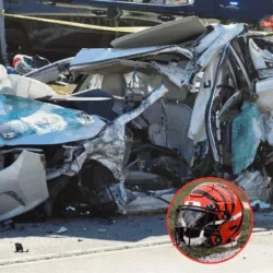 🚨 Cincinnati Bengals Football Star Dies in Tragic Christmas Eve Crash