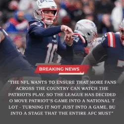 Patriots Make Announcement After NFL Delivers Critical Final Decision