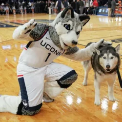 The UConn Huskies community is united in grief following the sudden passing of a beloved mascot performer after a tragic accident