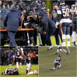 BREAKING: Massive Brawl Erupts Between Chicago Bears and Green Bay Packers Ahead of Wild Card Showdown