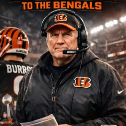 Bill Belichick to Cincinnati Bengals: A Power Move That Redefines the AFC North