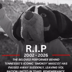 The Heart of Rocky Top: Tennessee Mourns the Loss of the Spirit Behind Smokey
