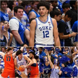 The Architect of the Brotherhood: Cameron Boozer’s Silent Command After Virginia Rout