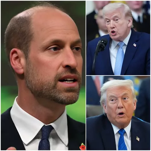 Cover Image for 🔥 Donald Trump SLAMS Prince William: “Sit down — you’re just an entitled royal puppet, mind your own business!” — But Prince William’s response stunned the audience.