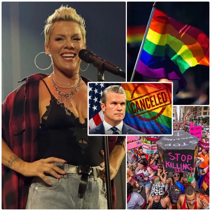 Cover Image for 🔥 P!NK SLAMS PETE HEGSETH’S PRIDE MONTH DECISION: “RESPECT SHOULD NEVER BE ERASED”