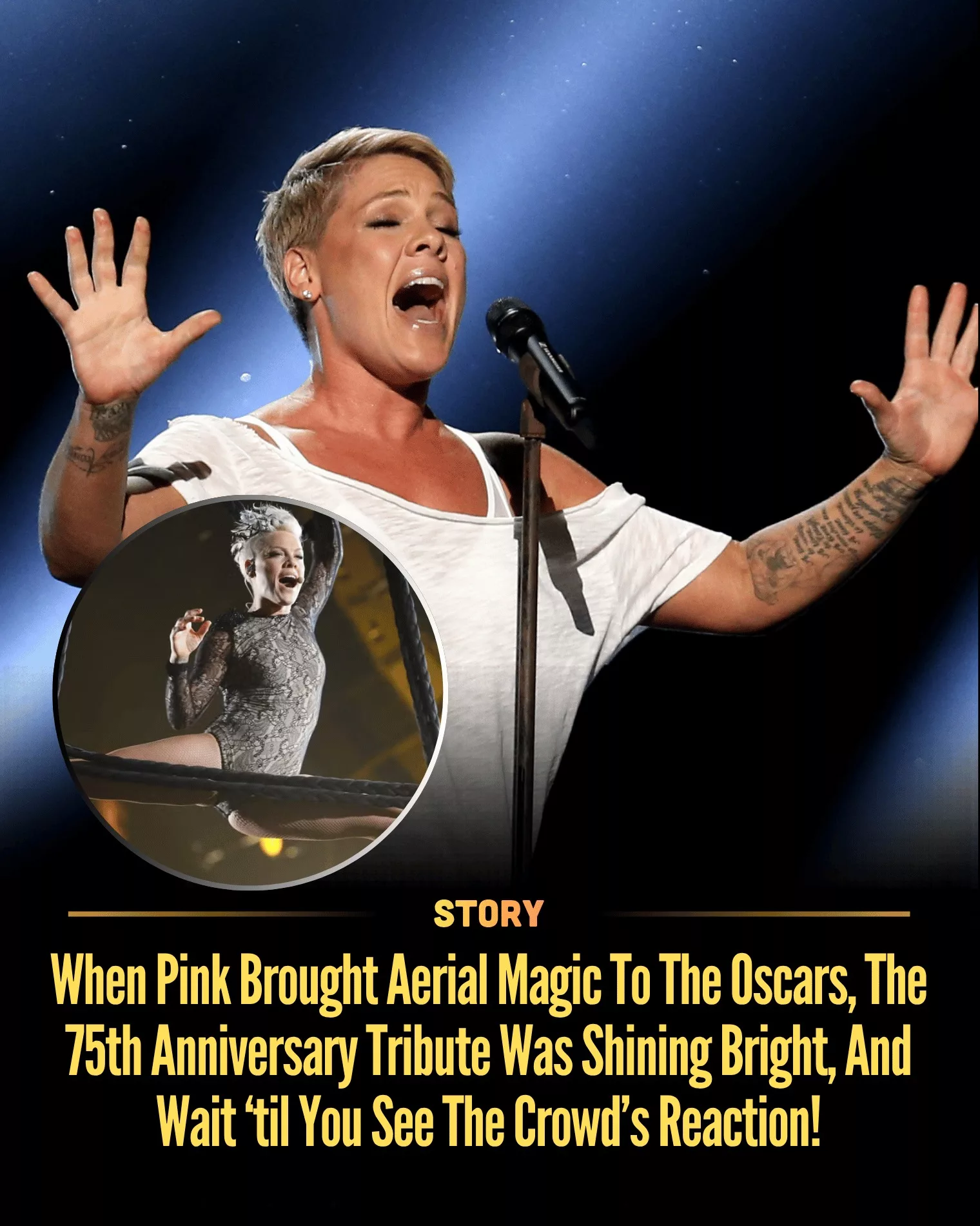 Cover Image for When Pink Brought Aerial Magic To The Oscars, The 75th Anniversary Tribute Was Shining Bright, And Wait ‘til You See The Crowd’s Reaction!