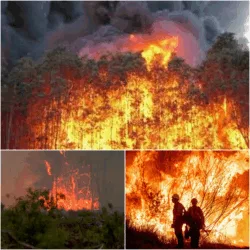 CRITICAL ALERT: Michigan is under siege tonight as a massive wildfire rages out of control, defying all containment efforts. Authorities have issued a MANDATORY EVACUATION for multiple areas—this is no longer a warning; it is a desperate race against time.