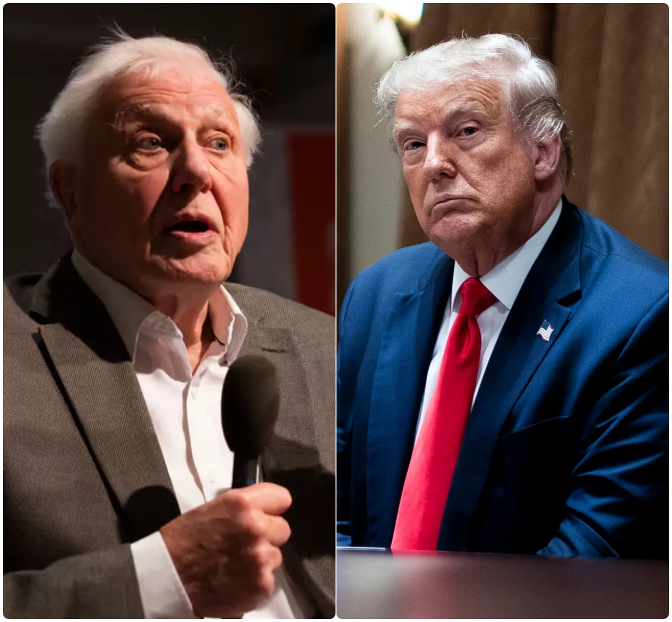 Cover Image for BREAKING: Trump attacks David Attenborough — and gets a FIERY sermon in response that he won’t forget