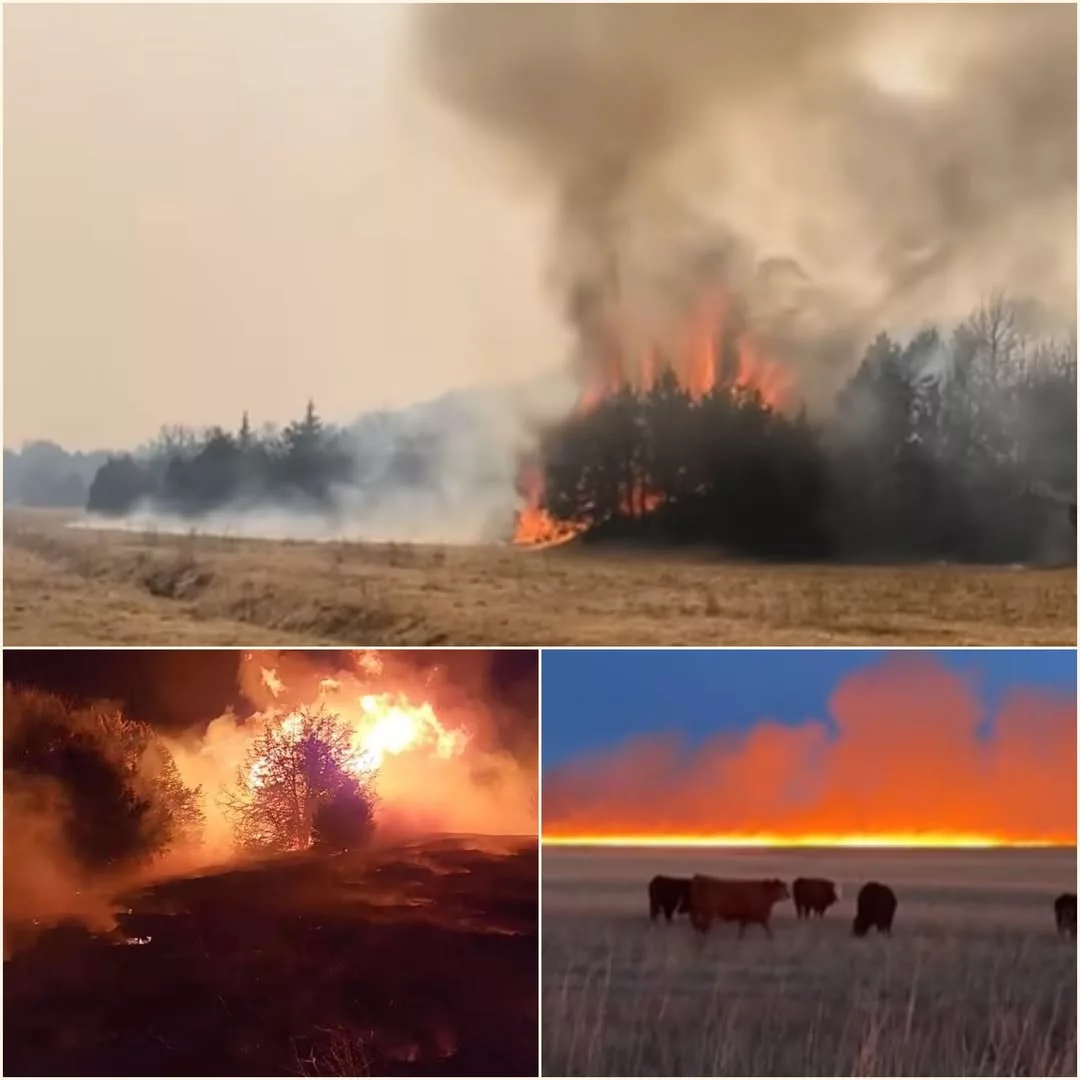 Cover Image for 🚨 BREAKING: NEBRASKA UNDER SIEGE — 800,000 ACRES BURNED AS THE HEARTLAND FIGHTS FOR SURVIVAL