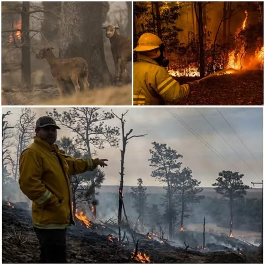 Cover Image for šØ INFERNO IN THE SANDHILLS: Anderson Bridge Fire Devastates Nebraska Communities as Flames Continue to Rage Out of Control