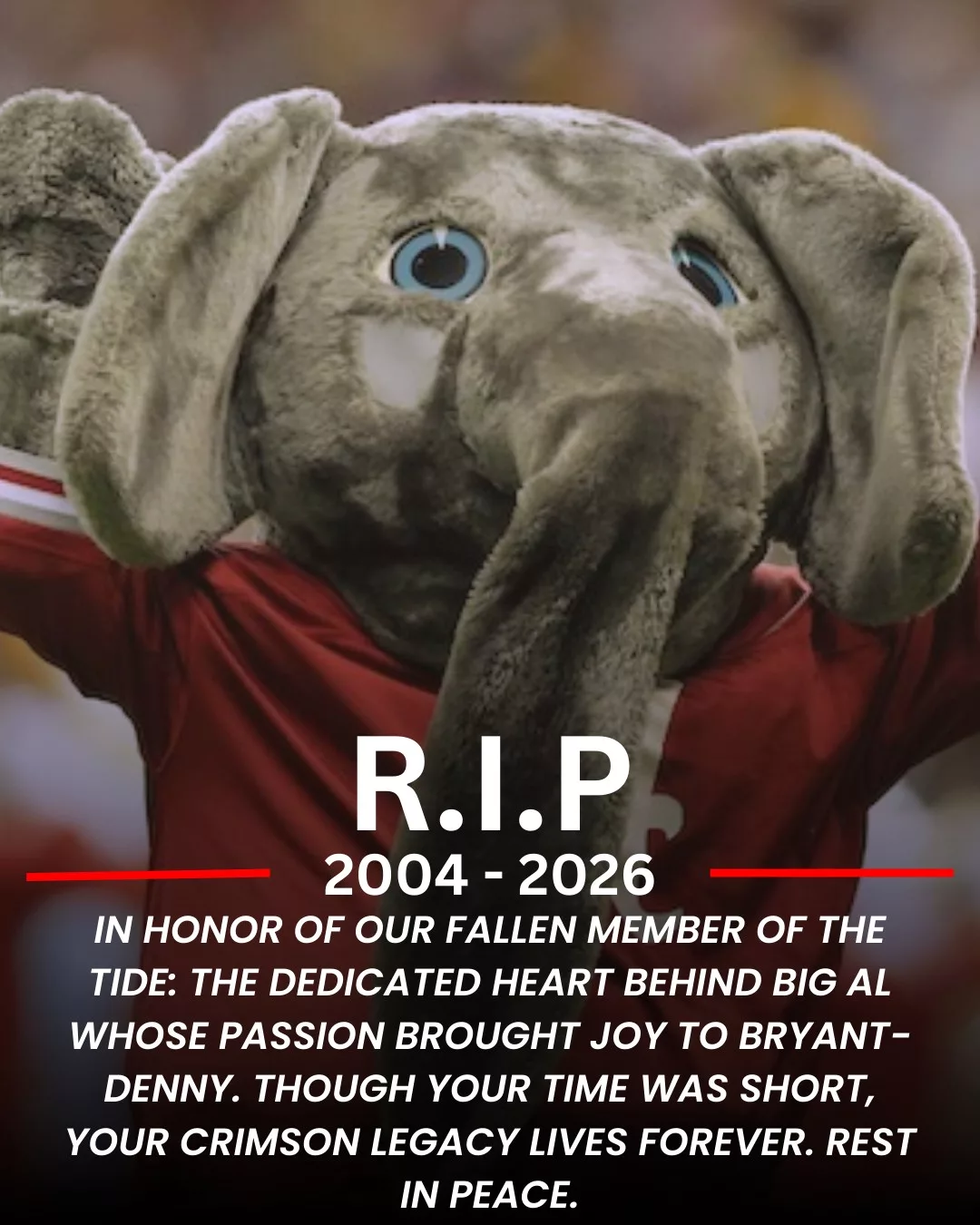 Cover Image for 💔 TRAGIC LOSS: Alabama Crimson Tide Community Mourns Student Behind Big Al Mascot After Sudden Passing