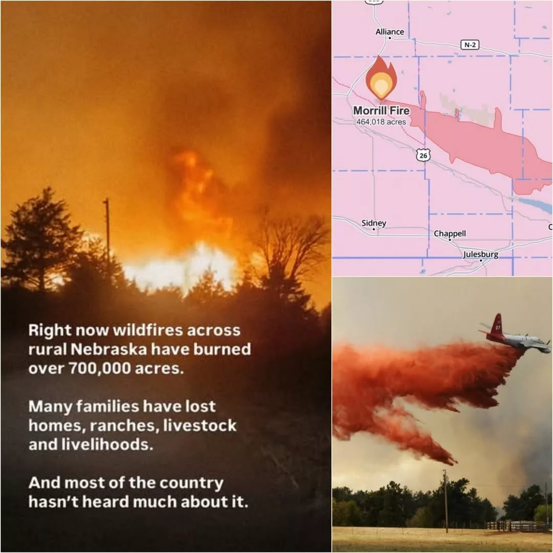 Cover Image for 🚨 BREAKING: Nebraska’s Heartland Burns — A Historic Firestorm Is Reshaping America’s Cattle Country