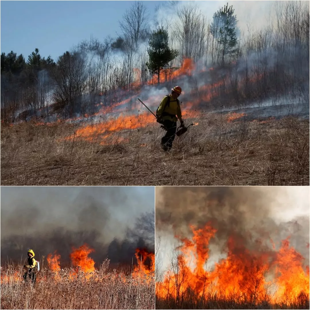 Cover Image for 🚨 BREAKING: MORRILL WILDFIRE DEVASTATES NEBRASKA SANDHILLS — RANCHING FAMILIES FIGHT TO SURVIVE AFTER HISTORIC DISASTER