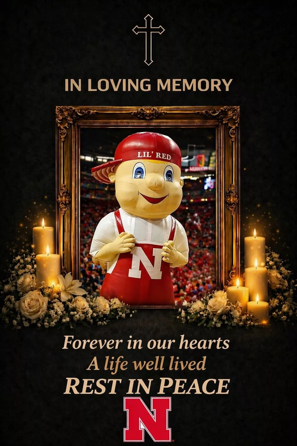 Cover Image for Tragic Loss: The Miami Hurricanes football Family Mourns the Passing of the Beloved Spirit Behind Sebastian the Ibis — the joyful presence who brought smiles, energy, and unforgettable moments to generations of fans.