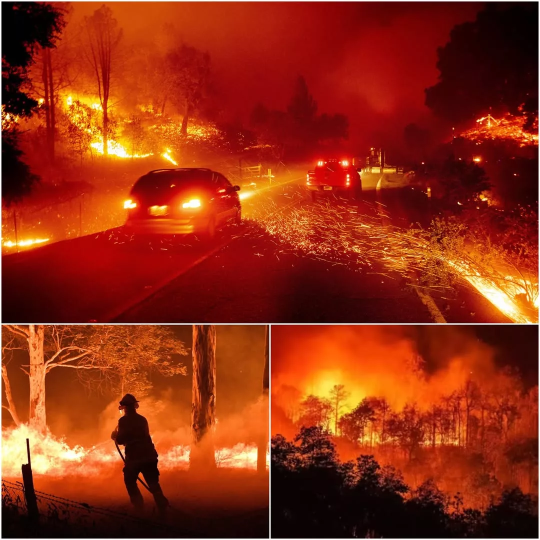 Cover Image for 🚨 CRITICAL ALERT: FAST-MOVING WILDFIRE FORCES MANDATORY EVACUATIONS IN EAST TENNESSEE — AUTHORITIES URGE IMMEDIATE ACTION