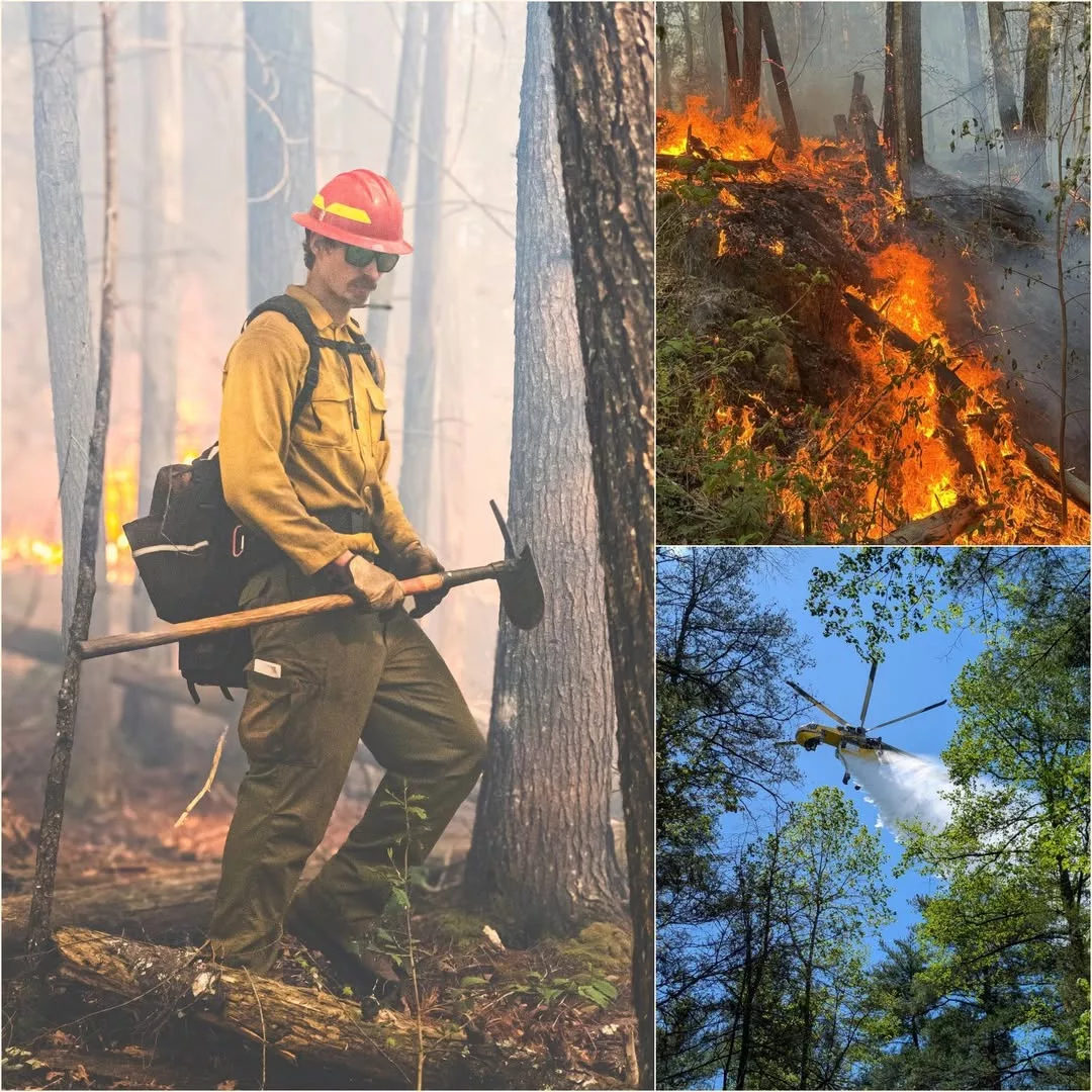 Cover Image for 🔥 CRISIS IN THE HEARTLAND: Wildfires Ravage Nebraska as Communities Fight to Endure