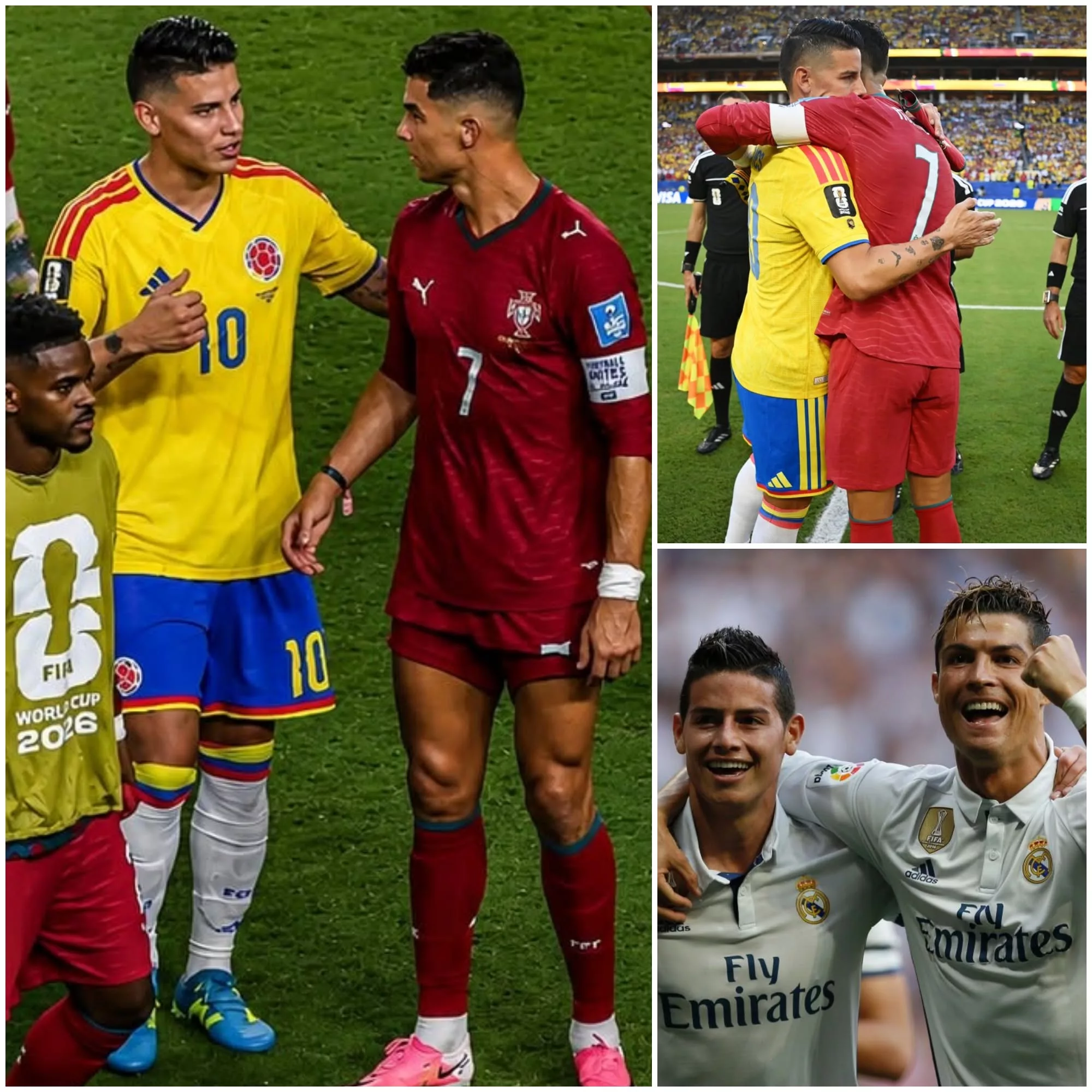 Cover Image for ESTA IMAGEM EMOCIONOU ABSOLUTAMENTE TODO O MUNDO… 