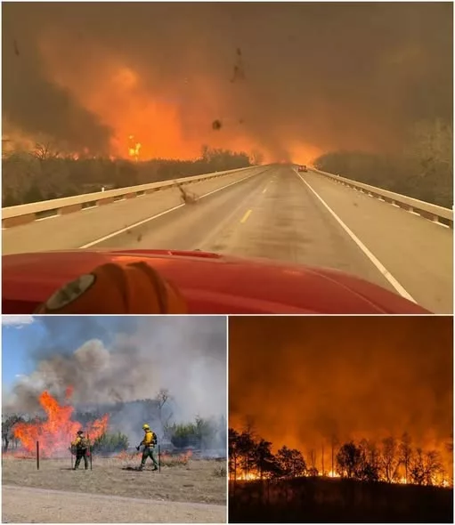 Cover Image for CRITICAL ALERT: North Carolina Faces an Unprecedented Wildfire Emergency as Mandatory Evacuations Expand Across the Mountains