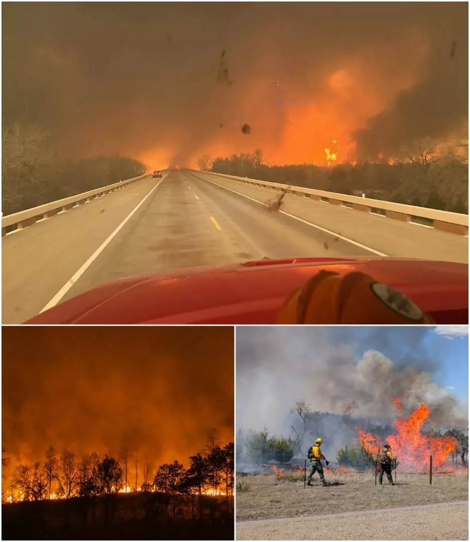 Cover Image for Washington Faces a Night of Fire as Massive Wildfire Forces Emergency Evacuations Near Seattle