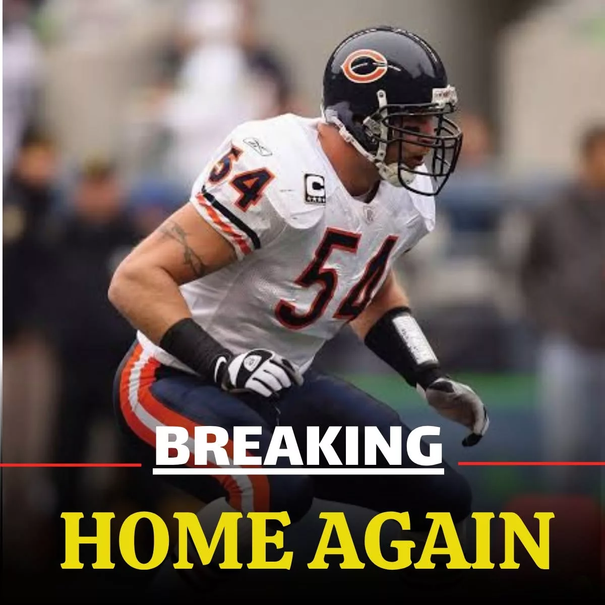 Cover Image for 🐻🔥 BOMBSHELL RETURN! Chicago Bears Legend Brian Urlacher Could Return in a Major Role in 2026