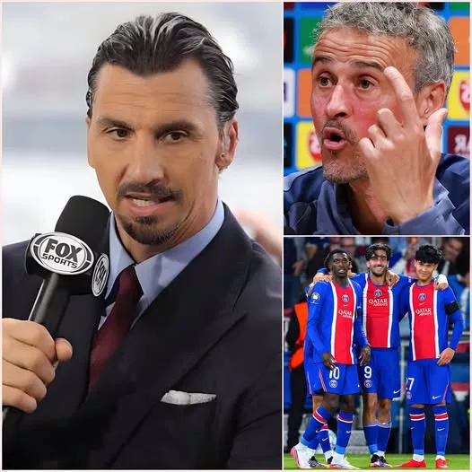 Cover Image for 🔥🚨 « LE PSG NE GAGNERA PAS LA LIGUE DES CHAMPIONS CETTE SAISON ! » — ZLATAN IBRAHIMOVIĆ LANCE UNE BOMBE…  Une déclaration aussi catégorique de Zlatan Ibrahimović ne pouvait évidemment pas passer inaperçue. 😳 Selon l’ancien buteur, le PSG aurait encore quelque chose qui lui manque pour rester au sommet de l’Europe, tandis qu’un géant espagnol pourrait cette fois prendre le contrôle de la compétition. 👀  Chez les supporters parisiens, la réaction ne s’est pas fait attendre. Mais le plus surprenant est venu juste après…  Luis Enrique aurait été directement confronté à cette déclaration. Et au lieu de répondre longuement ou d’entrer dans un débat, l’entraîneur espagnol aurait choisi une réponse extrêmement courte.  🔥 Cinq mots seulement.  Mais lesquels ?  Et surtout… pourquoi cette réponse a-t-elle autant fait parler ? 👇