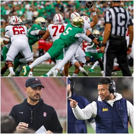 Cover Image for 🚨 STANFORD COACH’S ALLEGED FURIOUS ATTACK AFTER 58–7 HUMILIATION SPARKS CONTROVERSY — AND MARCUS FREEMAN’S IMAGINED 12-WORD RESPONSE SAYS IT ALL